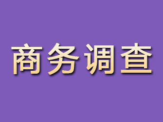 元坝商务调查